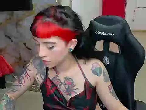 Snapshot of nova_kitttyy chatting on 02.20.26 nova kitttyy online show from 02.20.26