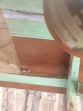 euchapo99 online show from 02.19.26