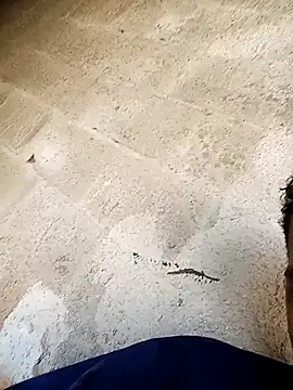 negopreto  online show from 02.24.26