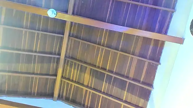 Snapshot of TonyPetrovjs chatting on 02.26.26 TonyPetrovjs online show from 02.26.26