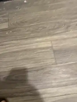 SavorredEscapist online show from 02.26.26