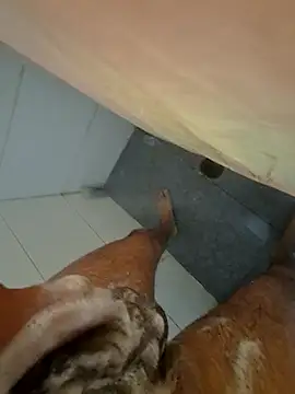 Snapshot of Edu235 chatting on 03.29.26 Edu235 online show from 03.29.26