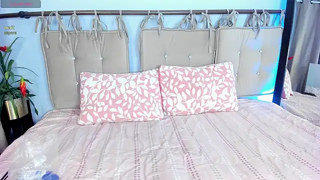 aurora wander online show from 02.24.26