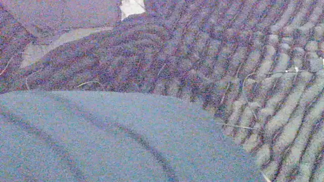 elong007 online show from 04.01.26