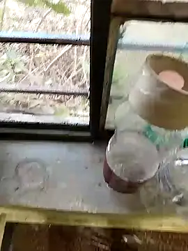 Snapshot of blackbeauty321 chatting on 02.26.26 blackbeauty321 online show from 02.26.26