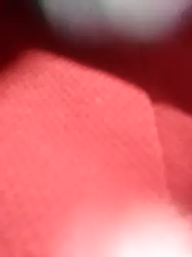 Snapshot of jackkk0011 chatting on 02.26.26 jackkk0011 online show from 02.26.26