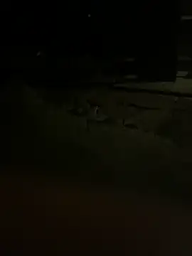 princessandthefootjob online show from 03.31.26