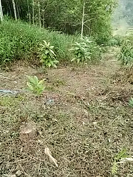 Snapshot of 01_ANNA_01 chatting on 03.27.26 01 ANNA 01 online show from 03.27.26