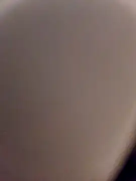 Snapshot of skynct2007 chatting on 02.24.26 skynct2007 online show from 02.24.26