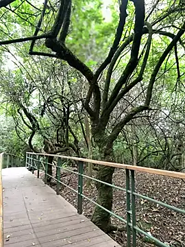 The Conquer online show from 04.10.26