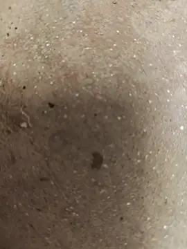 67sanju online show from 03.04.26