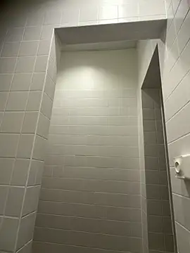 WhiteRose2020 online show from 02.26.26