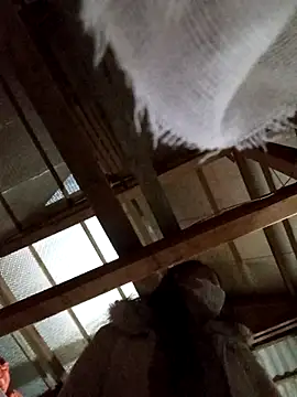 Heylen hooo online show from 03.16.26