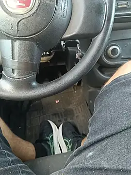 UrsoBissexualPauGrosso online show from 03.01.26