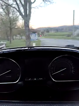 lui8181 online show from 03.20.26