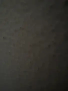 MIABCDZ online show from 05.12.26
