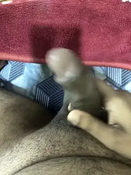 Dick 346 online show from 03.06.26