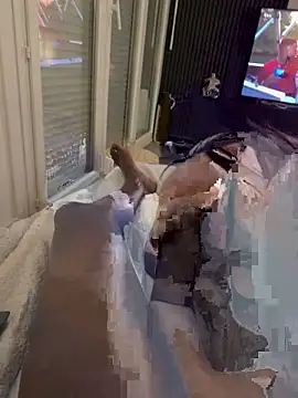 feefey19 online show from 02.28.26