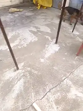 mylove202022 online show from 03.15.26