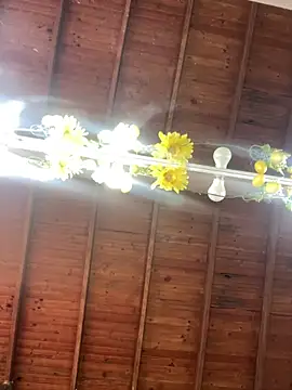 LiaTrainor online show from 04.14.26