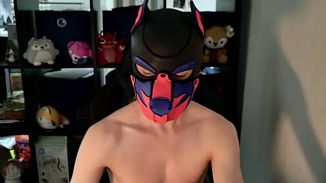 MellPUP online show from 06.08.26