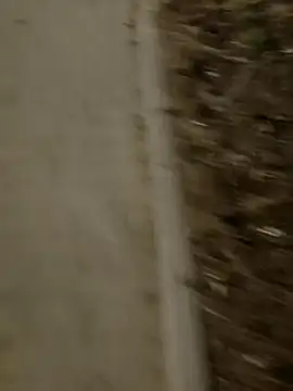 MarekPublicShow online show from 03.03.26