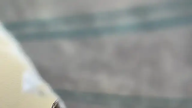 Snapshot of the-gen-xxx chatting on 03.17.26 the-gen-xxx online show from 03.17.26