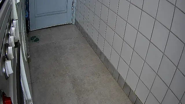 rudy25cm online show from 04.21.26