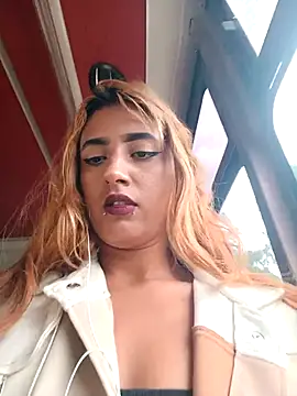 Mayaforest  online show from 03.12.26