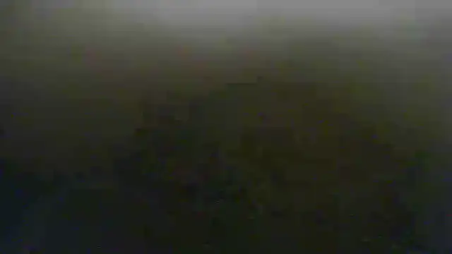 steven mar43684 online show from 05.28.26