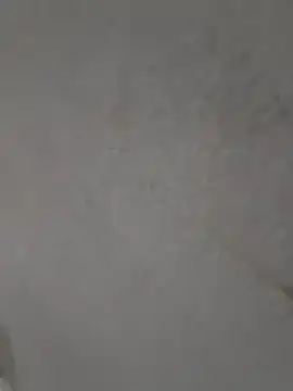 Casandraxquesi online show from 03.11.26