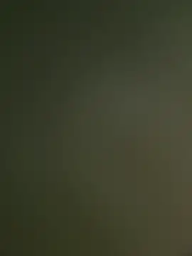 wesleymadeira online show from 03.24.26