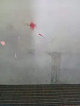 School teacher12 online show from 03.28.26