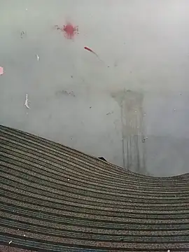 School teacher12 online show from 04.17.26