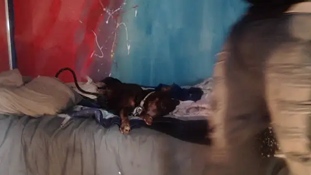 punkyslut69 online show from 04.14.26