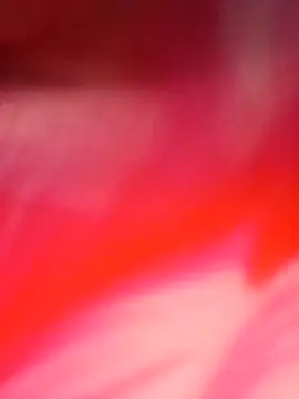 Ron 0101 online show from 04.21.26