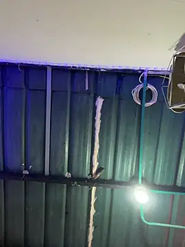 torontoli online show from 03.30.26