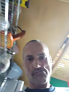 Brunogramata online show from 03.20.26