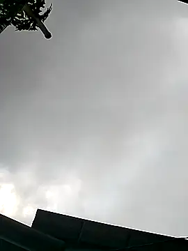 Snapshot of Cute-flowers chatting on 03.21.26 Cute-flowers online show from 03.21.26