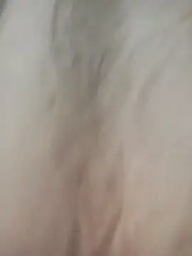 AngelicaStorms online show from 04.28.26
