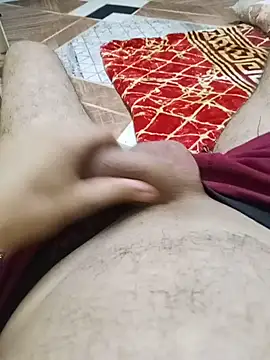 EgyptianHorse online show from 07.03.26