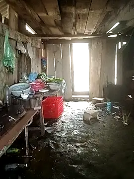 Snapshot of Lily_Daisy chatting on 03.25.26 Lily Daisy online show from 03.25.26