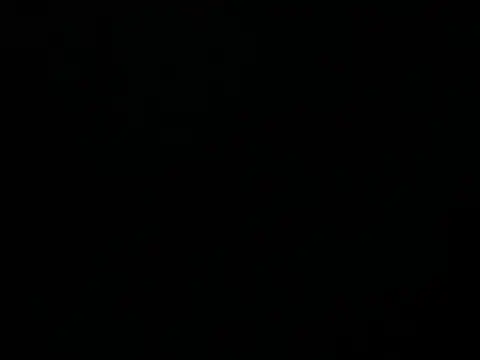 Mexibear online show from 08.06.26