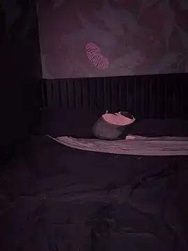 VERALONGG online show from 04.03.26