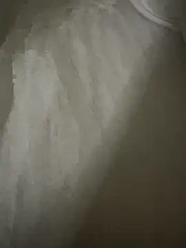 GalaVera online show from 04.02.26