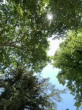 latinacaro- online show from 06.27.26