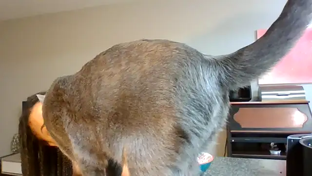 madzbailey online show from 04.02.26