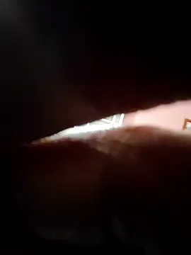 Snapshot of doggy69-dog chatting on 04.05.26 doggy69-dog online show from 04.05.26