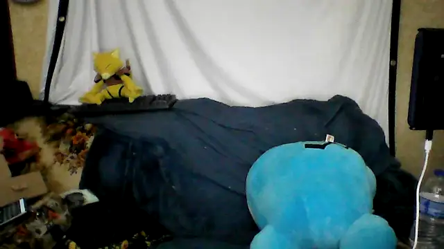 BriTheTopBear online show from 04.21.26