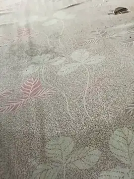 Snapshot of pujaji098 chatting on 04.13.26 pujaji098 online show from 04.13.26